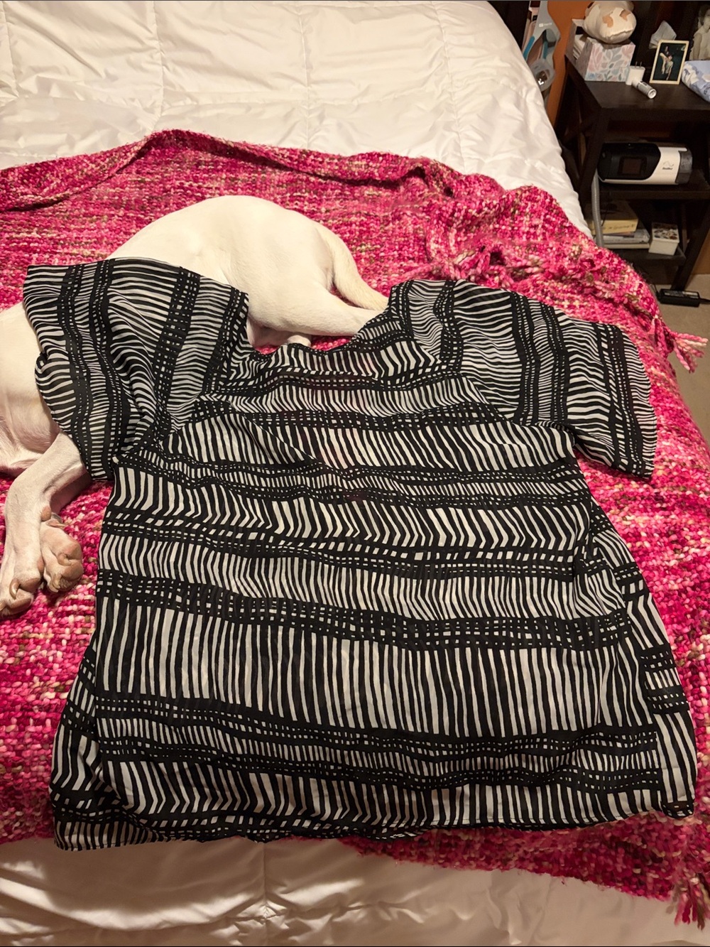 Black and White Striped Women’s Short Sleeve Top